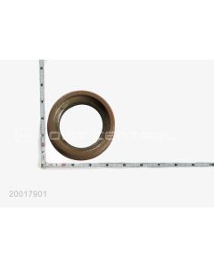 BEARING CAGE PINION