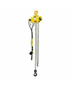 1/4 Ton Series 2200 Hoist, Pull Cord Control, Roller Chain (10' Lift, 65 FPM, Top Hook)